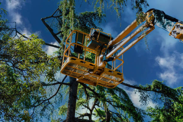 Best Landscape Design and Installation  in Warm Springs, OR