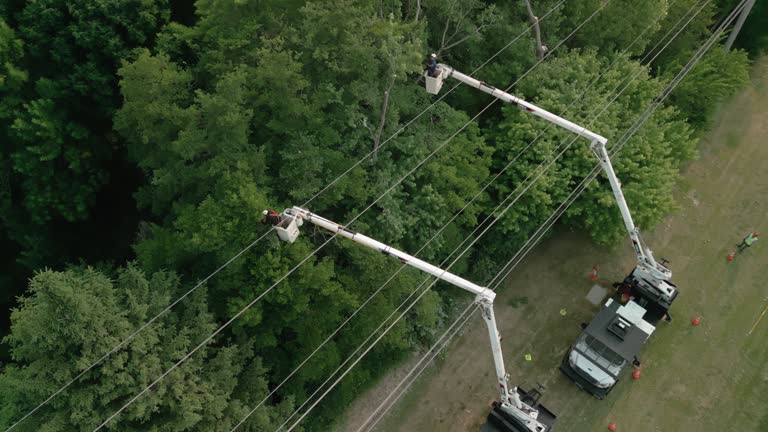 Best Storm Damage Tree Cleanup  in Warm Springs, OR