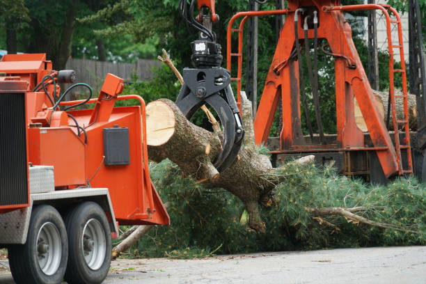 Warm Springs, OR Tree Services Pros