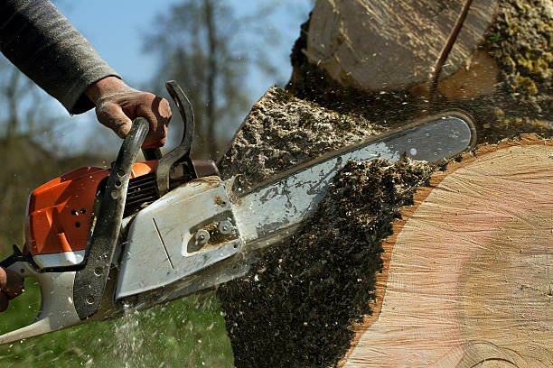 Best Utility Line Clearance  in Warm Springs, OR